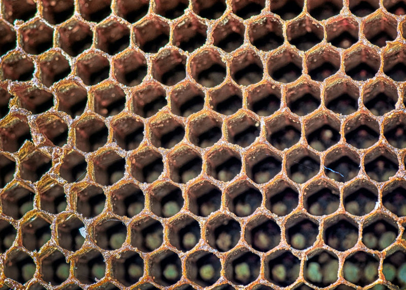 Beeswax